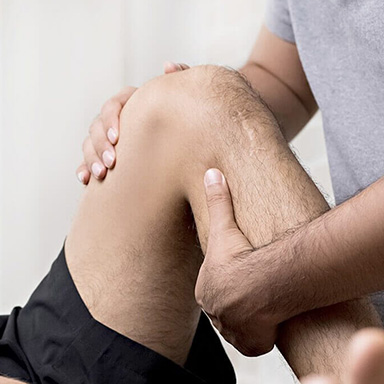 Knee joint Knee joint