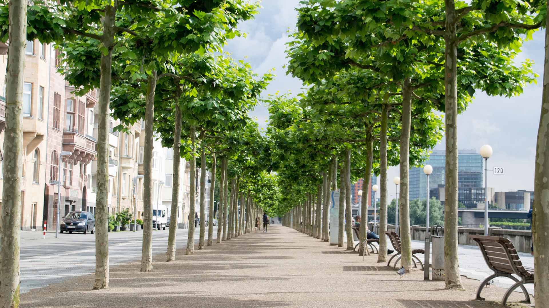 Orthopäde Düsseldorf