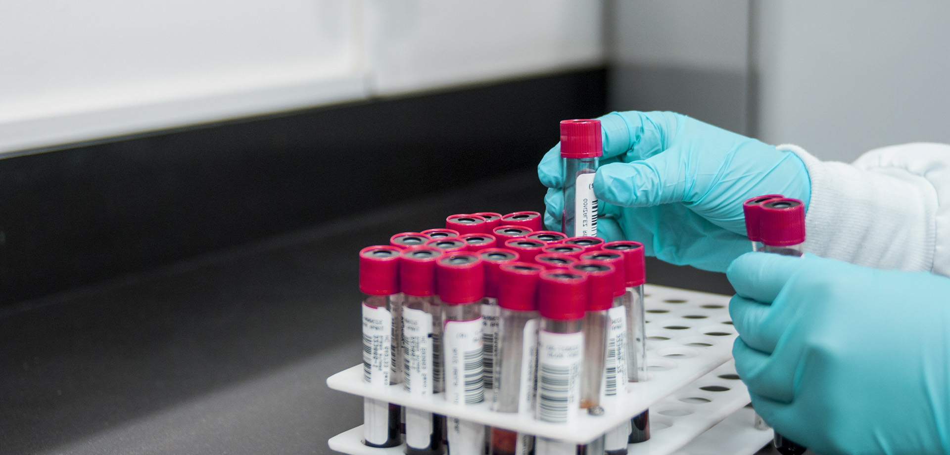 Molekulare und regenerative Orthopädie